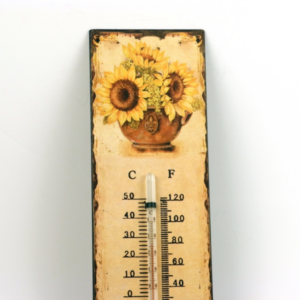 vonkajší ortuťový teplomer