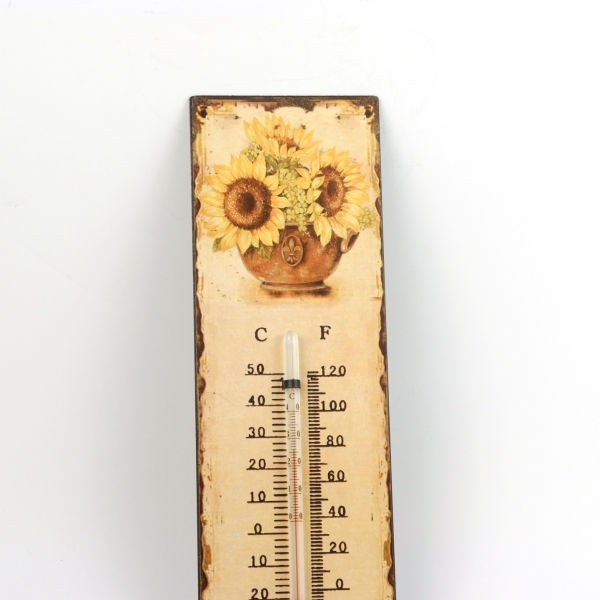 vonkajší ortuťový teplomer