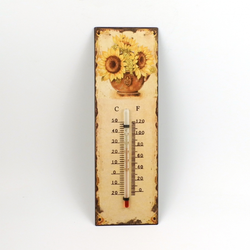 vonkajší ortuťový teplomer