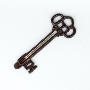 Vonkajší teplomer na stenu 19 cm