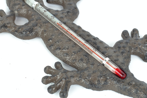 Vonkajší teplomer z liatiny jašterica