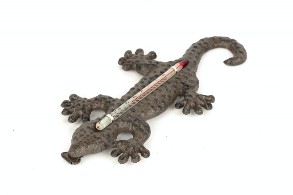 Vonkajší teplomer z liatiny jašterica