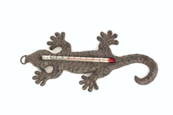 Vonkajší teplomer z liatiny jašterica