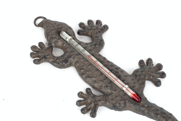 Vonkajší teplomer z liatiny jašterica