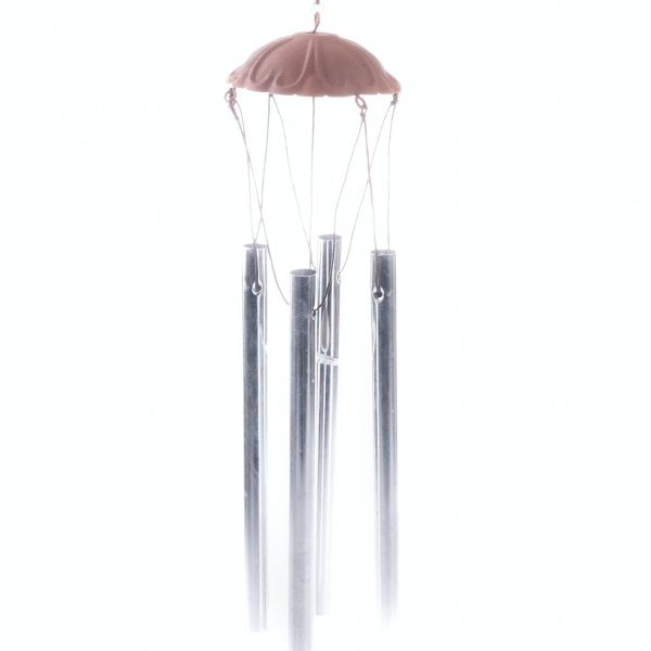 Vonkajšia zvonkohra - pes