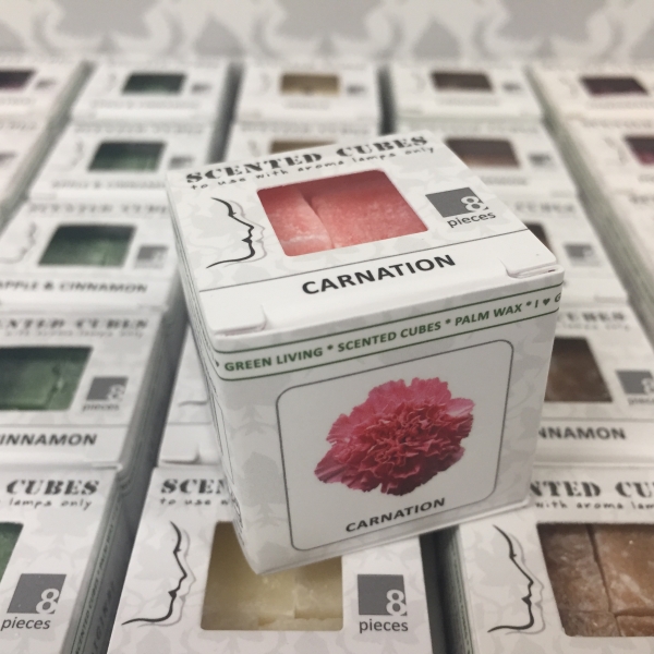 Vonné vosky do aroma lampy karafiát