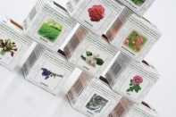 Vonný vosk do aromalámp Scented cubes Orange /Cinnamon (pomaranč /škorica)