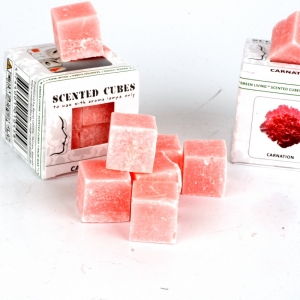 Vonný vosk karafiát Scented Cubes
