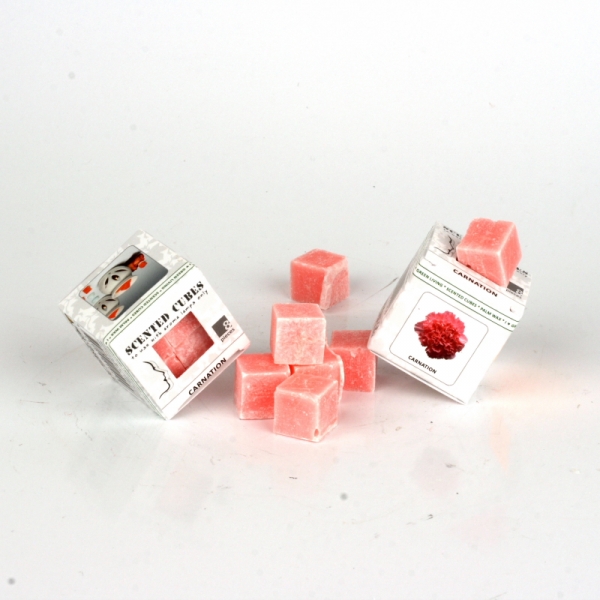 Vonný vosk karafiát Scented Cubes