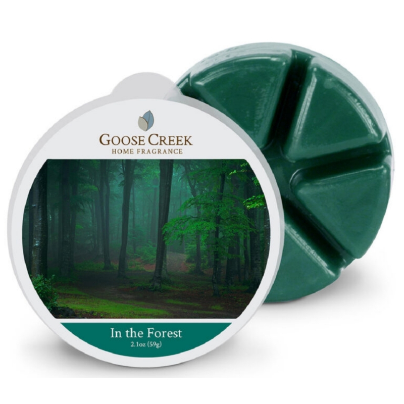 Vosk do aromalampy In The Forest - V lese 59 g Goose Creek