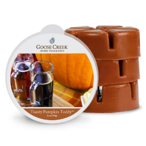 Vosk do aromalampy Toasty Pumpkin Toddy – Tekvicový grog 59 g Goose Creek