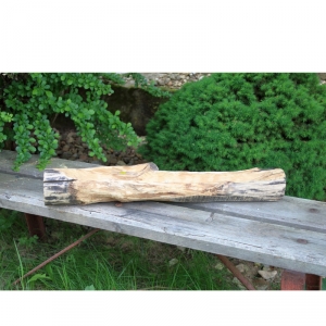 Záhradné dekorácie na sukulenty 50x9x8cm