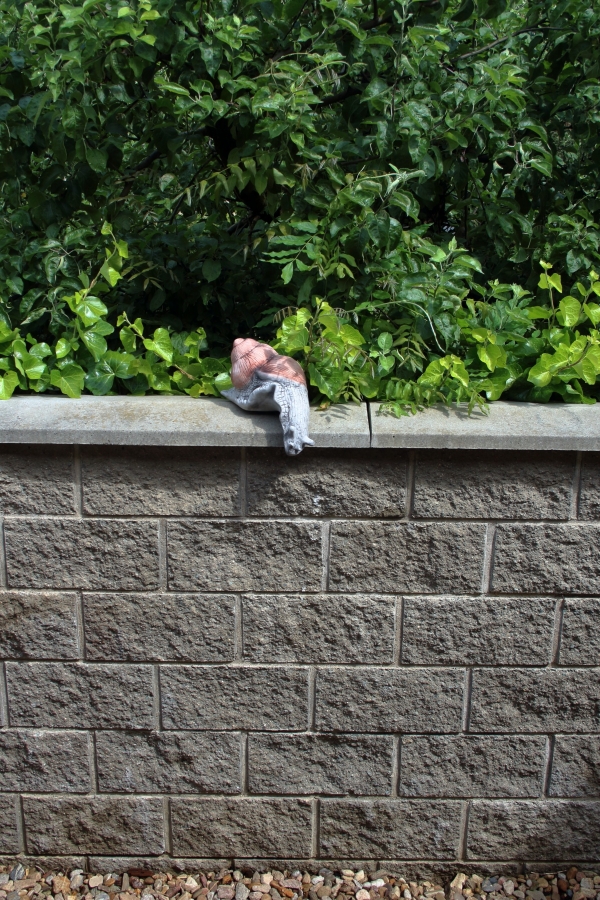 Záhradná dekorácia šnek XXL 5kg