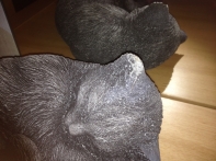 Záhradné dekorácie sediaci mačka 28cm - poškodené