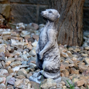 Záhradná dekorácie surikata 8x9,5x26cm