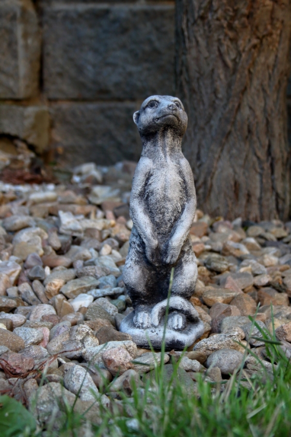 Záhradná dekorácie surikata 8x9,5x26cm