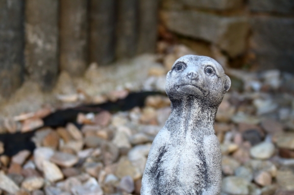 Záhradná dekorácie surikata 8x9,5x26cm