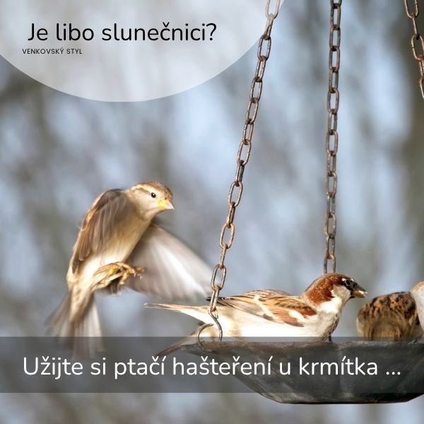 Záhradná fontánka s pitnou vodou pre vtáky s dekoráciou 91cm