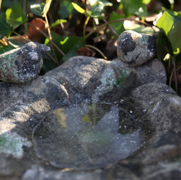 Záhradné pítko so zelenou patinou