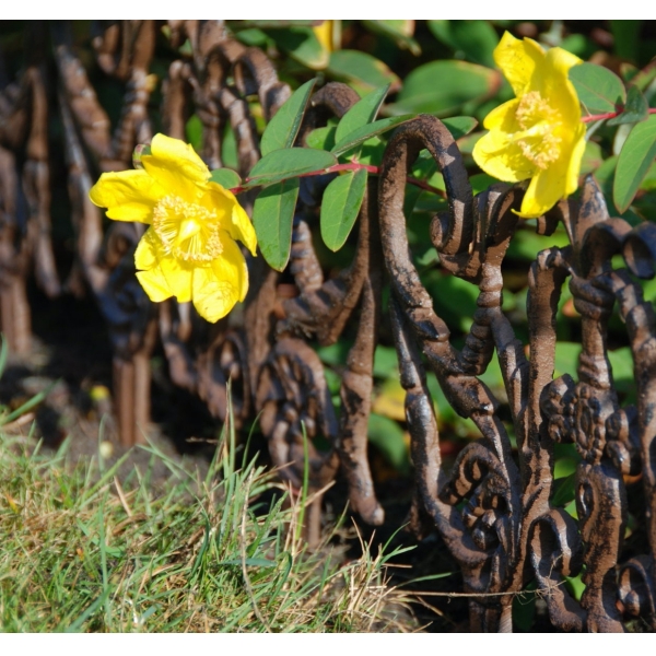 Záhradný plôtik 29,5x1x31cm