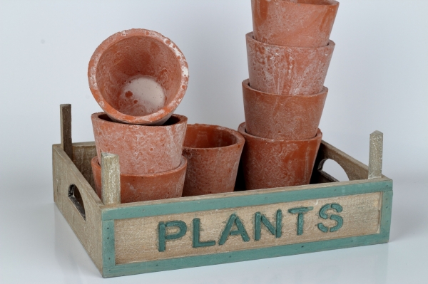 Záhradný prepravka s kvetináčmi PLANTS 33x24x12cm