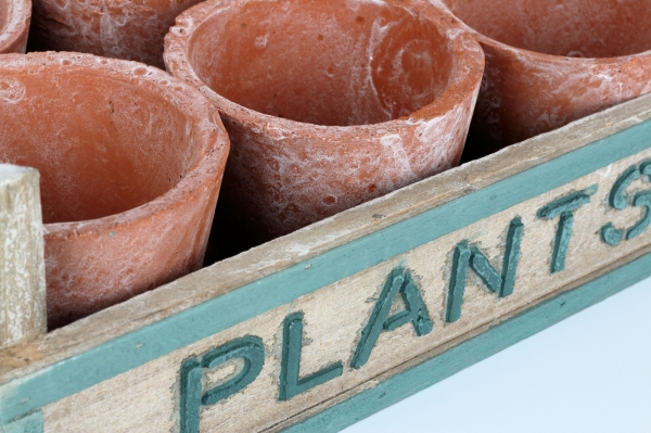 Záhradný prepravka s kvetináčmi PLANTS 33x24x12cm