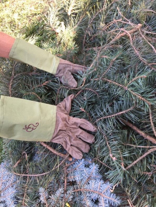 Záhradné rukavice na strihanie ruží