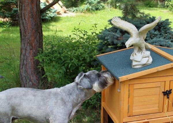 Záhradná socha orol 35x21x33cm