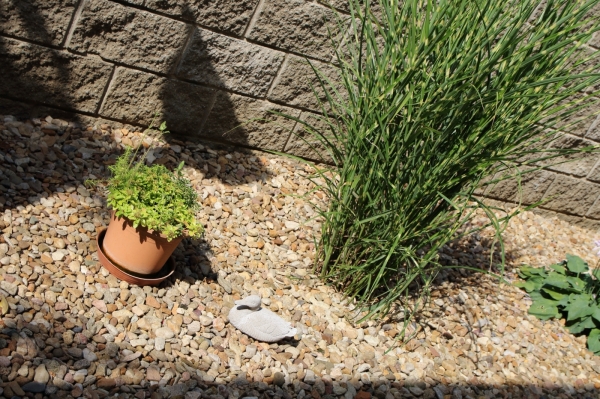 Záhradné sochy zvierat Kačica betónová sivá 20x10,5x11,5cm