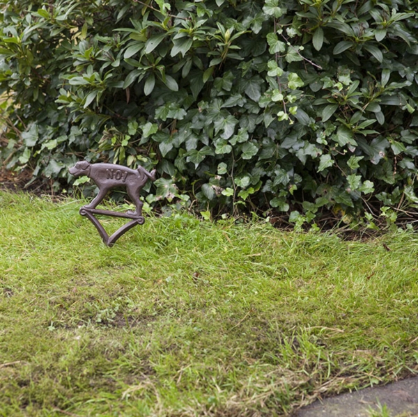 Zákaz venčenie psov