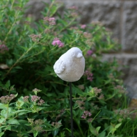 Zápich do trávnika / kvetináča vtáčik 36cm