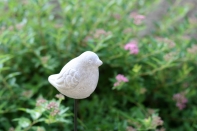 Zápich do trávnika / kvetináča vtáčik 36cm