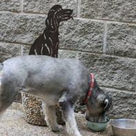 Zápich do trávnika pes 57cm