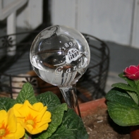 Zavlažovacie gule do kvetináča 270ml