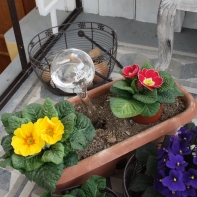 Zavlažovacie gule do kvetináča 270ml