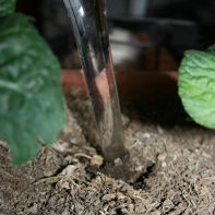 Zavlažovacie gule do kvetináča 270ml