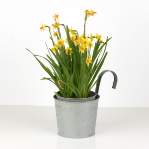 Zinkový kvetináč s hákom na zavesenie 18cm