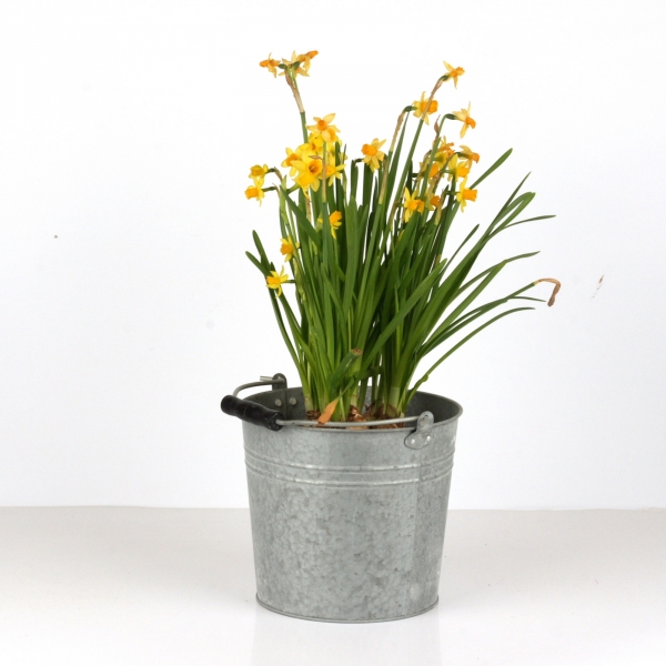 Zinkový kýblik 23cm