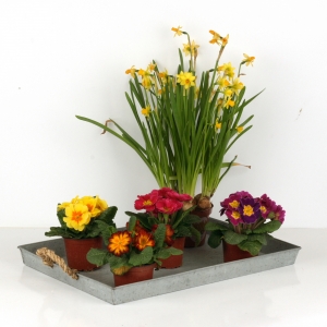 Zinkový tácku 49x33,5cm