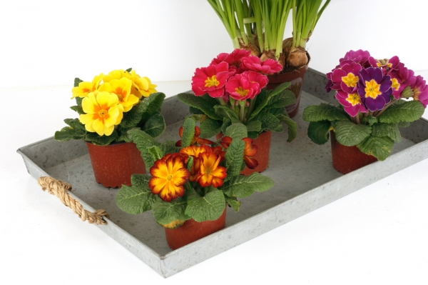 Zinkový tácku 49x33,5cm